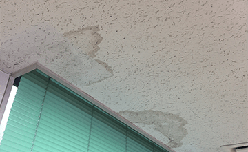 天井にシミがある